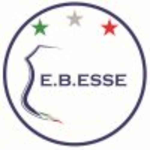 Logo E.B.ESSE